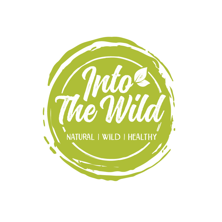 wild logo design ireland